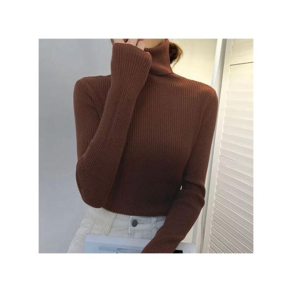 Pull Col Roulé Femme